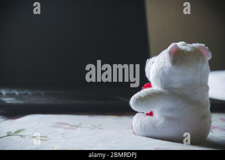 Teddy bear sitting in front of laptop computer device. Still Life. Child using digital technology. Conceptual background concept. Modern childhood edu Stock Photo