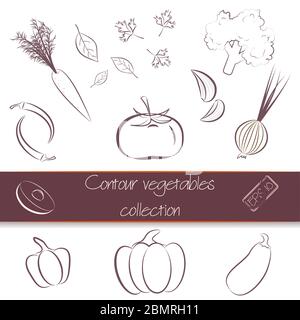 Countour, otline vegetables set, collection. Great for icons, as design elements on web sites or labels, wrapping paper and packaging. Stock Vector