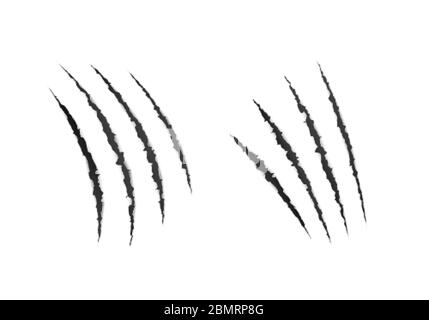Wild animal claws scratches. Scary laceration paper surface. vector illustration Stock Vector