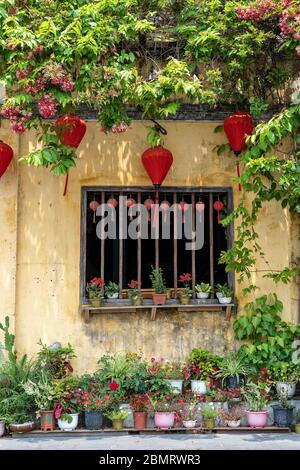 Flowerpots with flowers, yellow wall and window with red chinese lanterns on the street in Hoi An old town, Vietnam Stock Photo