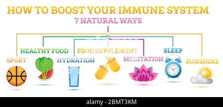 How to Boost Your Immune System. Infographic Elements. Vector Illustration. Healthy Habits Against Respiratoty Diseases and Viruses. Stock Vector