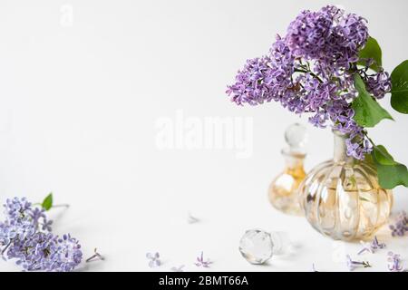 Purple lilac blossom standing in a small perfume bottle on white background. Spring flowers still life with copy space. Stock Photo