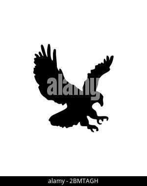 Flying Eagle Silhouette White Background Stock Photo