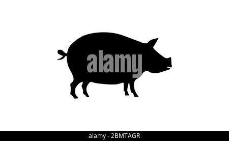 Pig Silhouette On White Background Stock Photo