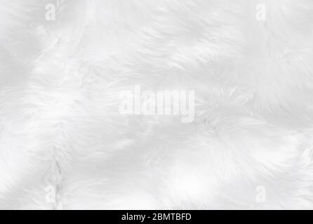 Background Of Texture Woolly Fabric In Soft White Fluff, Fur Background,  Fur, Fur Texture Background Image And Wallpaper for Free Download