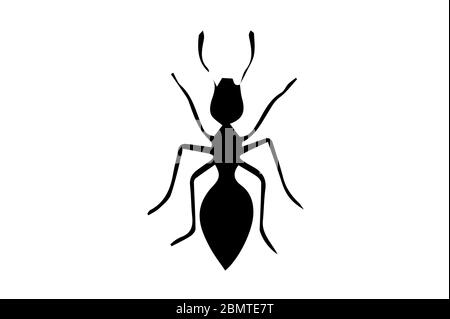 ant insects wildlife animals vector illustration isolated on white ...