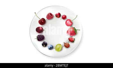 Still life of berries arranged in a circle on a white plate. Stock Vector