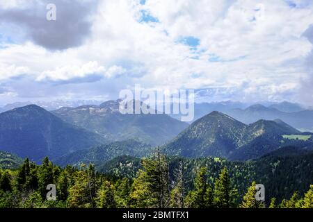 View from the forest to the mountains Stock Photo