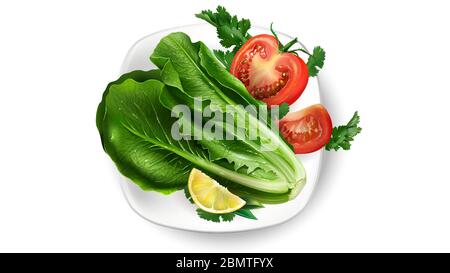 Composition of fresh vegetables on a white plate. Stock Vector