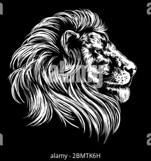 animal lion, king of beasts, hand drawn vector illustration realistic sketch. Stock Vector