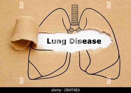 Text Lung Disease appearing behind ripped brown paper in human lungs drawing. Concept about different respiratory system illnesses. Stock Photo