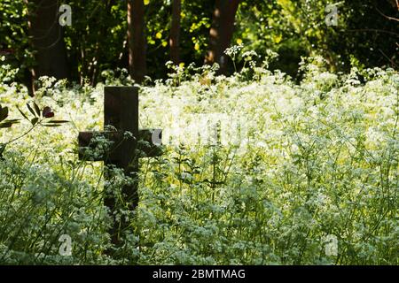 Old stone cross or crucifix in a graveyard with wild flowers. Copy space. Stock Photo