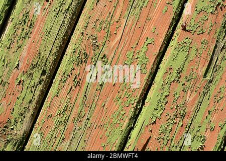 Natural green wood texture with an array of knots and ring lines. Stock Photo