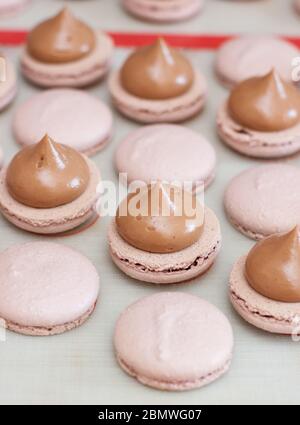 Making homemade macaroons. Filling shells with chocolate ganache. Selective focus. Stock Photo