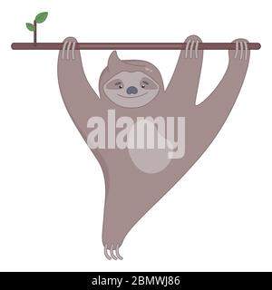 Cute sloth on the branch of tree smiling. Vector illustration. Stock Vector