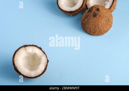 Coconut fruits on blue vibrant plain background, abstract food tropical concept, angle view macro Stock Photo