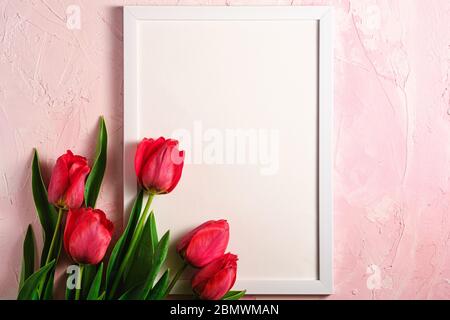 Bunch of red tulip flowers with picture frame template on textured pink background, top view copy space Stock Photo