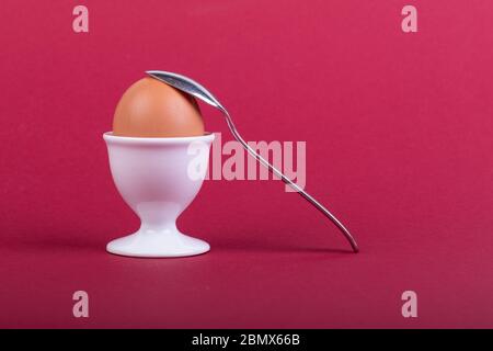 one brown egg in white egg cup before red background, a teaspoon is laying on it, close-up Stock Photo