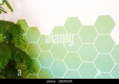 Retro modern green Hexagon tiled wall with half white wall, modern background texture, new interior Stock Photo