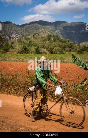 Local man riding a bicycle on red earth dirt road in the Vinales Valley, known for its unique limestone cliff formations called mogotes. Cuba Stock Photo