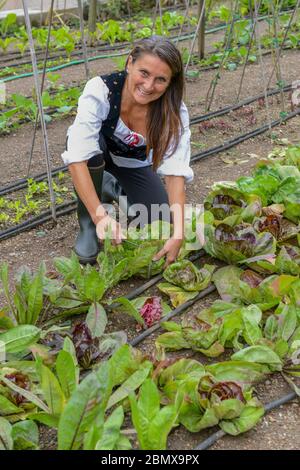 Lugano, Switzerland - 18 Oktober 2016: woman in her biological vegetable garden a Lugano on Switzerland Stock Photo