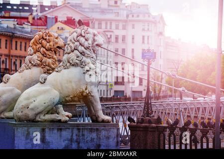 Bridge of Four Lions for pedestrian over the Griboedov Canal in St Petersburg, Russia Stock Photo