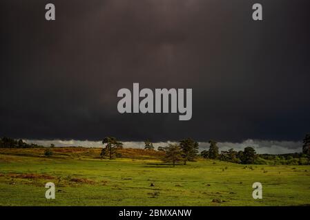 UK weather,  very dark thunder storm clouds approach over the New Forest heathland England causing a spectacular contrast of dark and light. Stock Photo