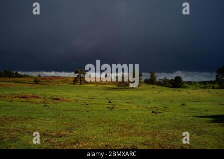 UK weather,  very dark thunder storm clouds approach over the New Forest heathland England causing a spectacular contrast of dark and light. Stock Photo