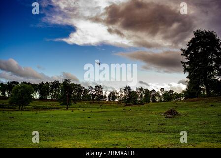 A RAF helicopter fly over the new forest as a storm moves in silhouetted against the blue sky gap between the blackening clouds. Stock Photo