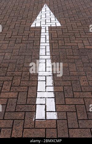 white arrow painted on the road, straight ahead concept. Stock Photo