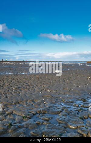 A few people in the distance cleaning up the mess left by a container ship on the beach. the ship has lost a cargo at sea,. Everywhere white balls of Stock Photo