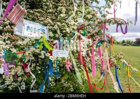 Wish tree hawthorn covered in May blossom colourful ribbons and wishes on the Downs in Bristol during the Corinavirus pandemic of 2020 Stock Photo