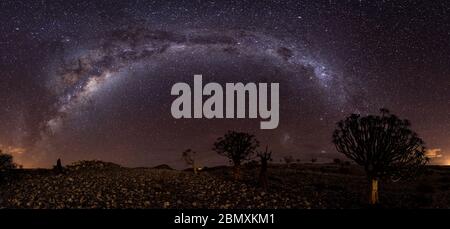 quiver tree and milkyway night photography, nightscape Stock Photo