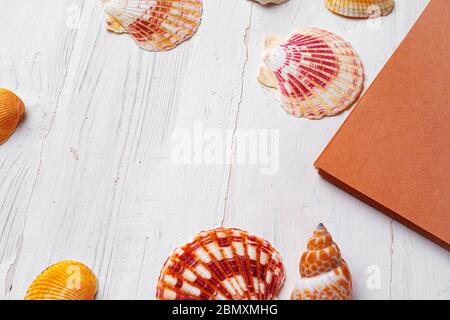 Brown open notepad surrounded by sea shells on white wooden table closeup Stock Photo
