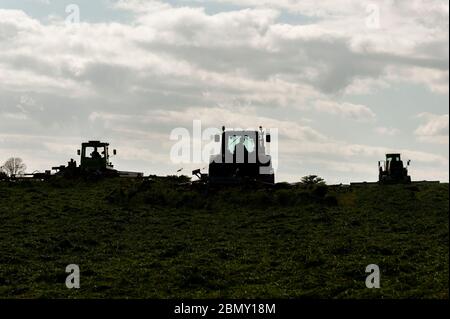 Timoleague, West Cork, Ireland. 11th May, 2020. Grass is cut and aerated for silage on the farm of David Deasy of Timoleague. The grass will be bailed tomorrow. Credit: AG News/Alamy Live News Stock Photo