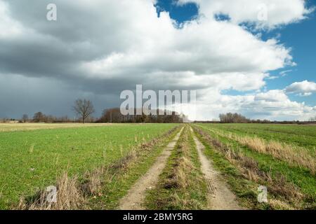 Long dirt road through green fields and clouds on the sky Stock Photo