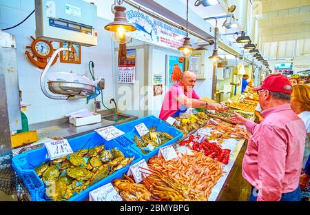 CADIZ, SPAIN - SEPTEMBER 24, 2019: The fishmonger in Mercado Central de Abastos market offers fresh oysters to clients, on September 24 in Cadiz Stock Photo