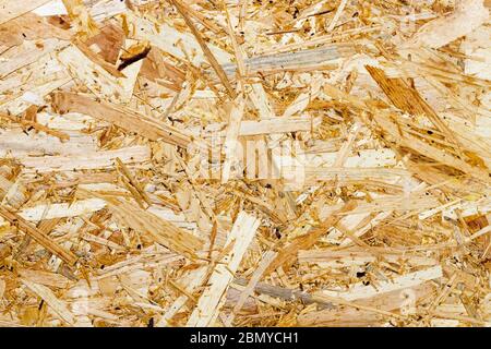 Standard chipboard plate texture background. Wooden flakes surface plank material. Pressed sawdust fiberboard. Build construction plywood Stock Photo