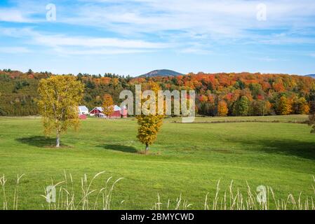 Rural landscape with a red barn with a silo at the foot of a forested hill and pasture in foreground. Beautiful autumn colours. Stock Photo