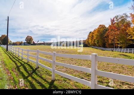 Rolling rural landscape with a fenced field in foreground with storm clouds looming. The fence is lined with colourful deciduous trees. Stock Photo
