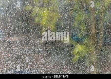 dirty window glass at sunny summer or spring weather close-up with selective focus and blur Stock Photo