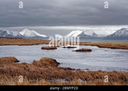 Over a frozen lake with reddish grass and a bay the view goes to a snow-covered mountain range with a high-contrast cloud formation, blades of grass a Stock Photo