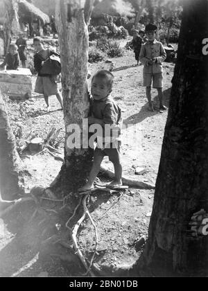 [ 1946 Japan - Okinawan Children ] —   Okinawan children playing among trees in Taira (田井等) in Nago (名護), Okinawa, 1946 (Showa 21).  In the back, houses with thatched roofs can be seen.  20th century gelatin silver print. Stock Photo