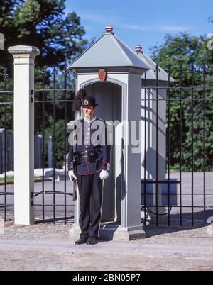 Royal guard outside The Royal Palace (Slottet), St Johans Gate, Oslo, Kingdom of Norway Stock Photo