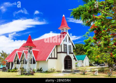 Landmarks of beautiful Mauritius island - Red church  with blooming flamboyant tree,Cap Malheureux. Stock Photo
