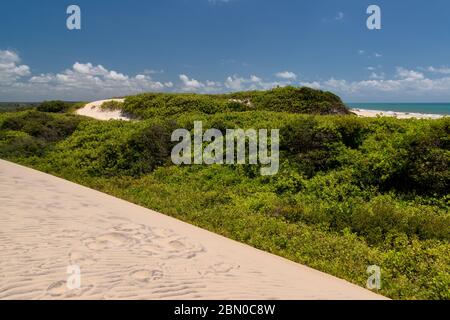 Malemba Dunes, Pipa beach, Brazil. Stock Photo