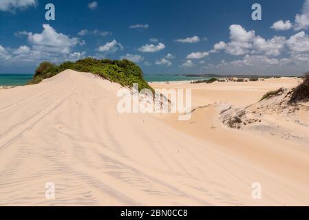 Malemba Dunes, Pipa beach, Brazil. Stock Photo