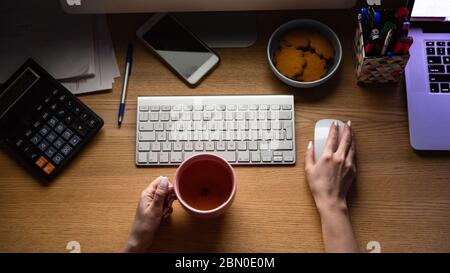 Top view of woman hand working on computer, holding mug of tea. Smartphone, calculator, pen, cookies on a saucer, notebook on the table near. Home wor Stock Photo