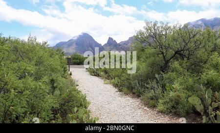 The Chisos Mountains, viewed here from The Sam Nail Ranch Trail on Big Bend National Park in Texas, are of Volcanic origin Stock Photo