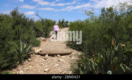 Hiker on the Sam Nail Ranch Trail in Great Bend National Park Stock Photo